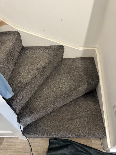 Chichester Carpet and Upholstery Cleaning