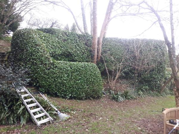 Ashworth Tree and Hedge Services