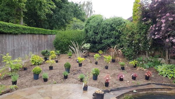 Jepson Gardening Services Nottingham