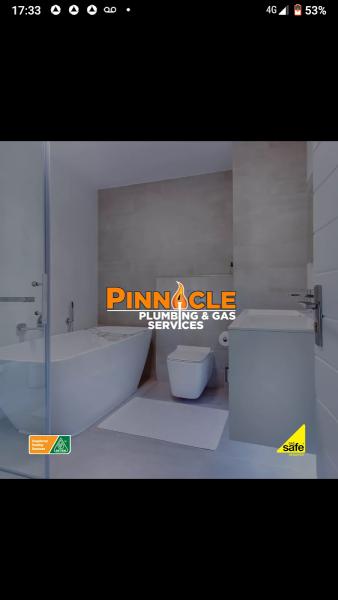 Pinnacle Plumbing and Gas Services