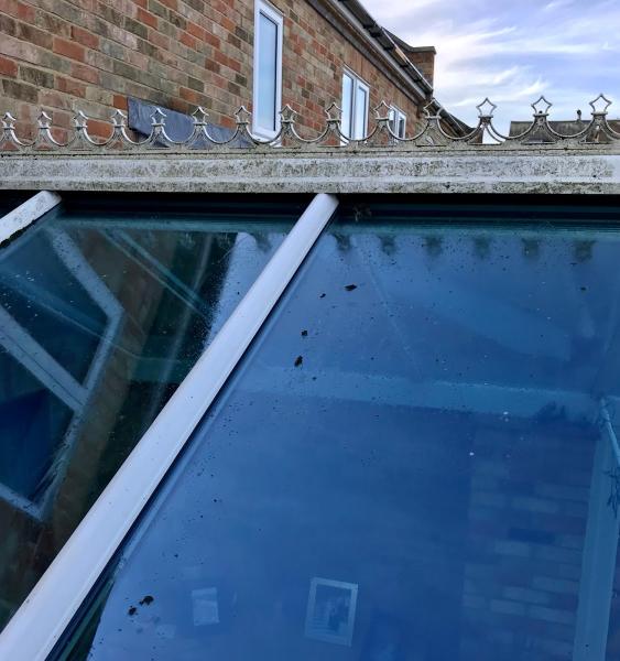 Albright Conservatory Cleaning & Care