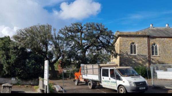 Geoff Ham Tree Services