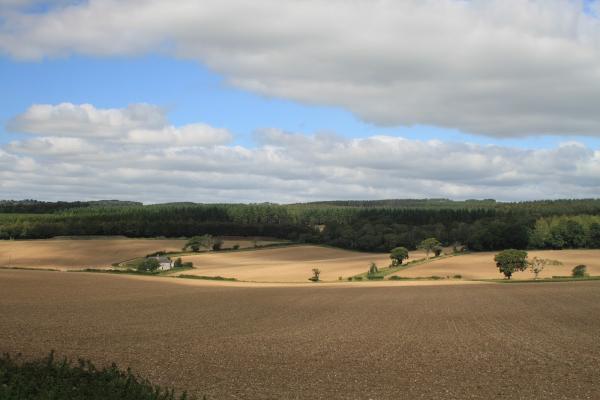 West Dean Estate