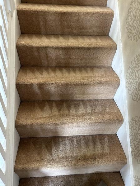 Aire Valley Carpet & Upholstery Cleaning