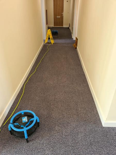 Carpet + Commercial Cleaning Glasgow