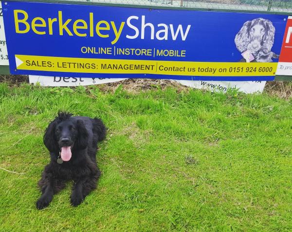 Berkeley Shaw Real Estate