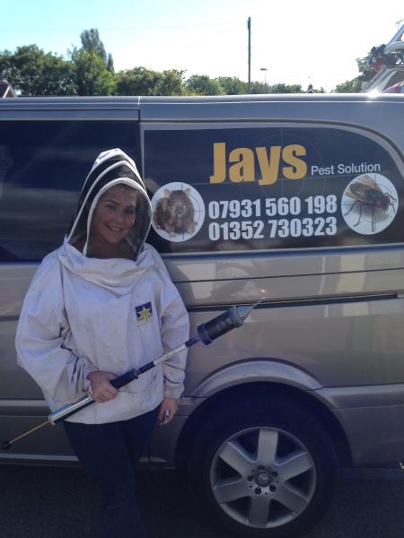 Jays Pest Solution