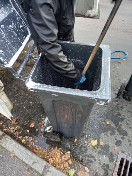 Dorset Bin Cleaning