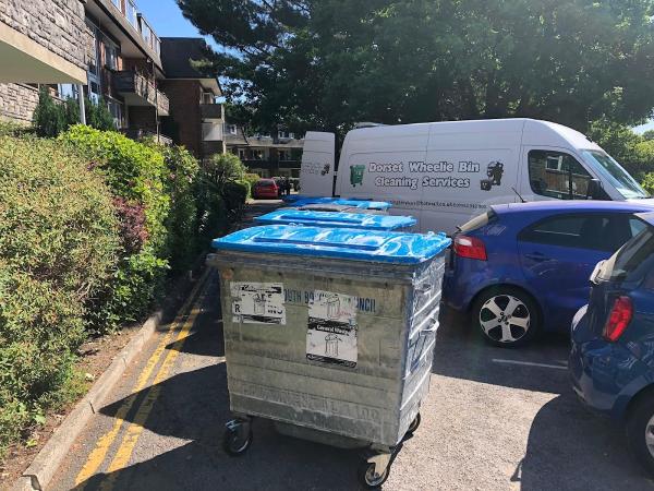 Dorset Bin Cleaning