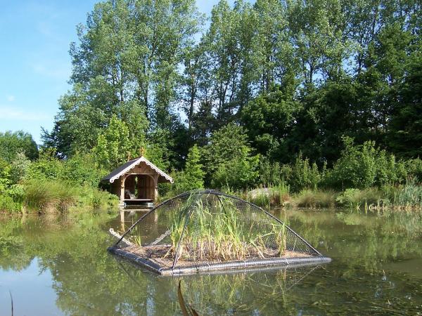 ARM Reedbeds