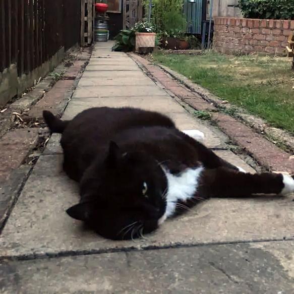 PAT Testing Stowmarket