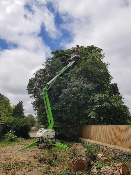 Oxford Tree Surgeons Ltd