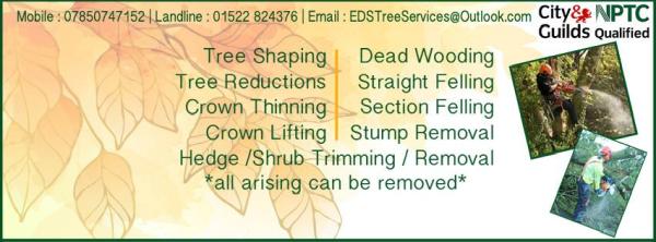 E.d.s Tree Services