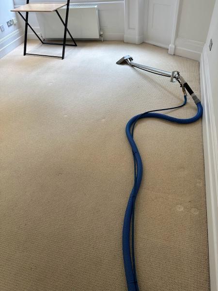 4 Seasons Carpet Clean