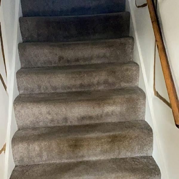 Lovely Bubbly Carpet Cleaning and Maintenance