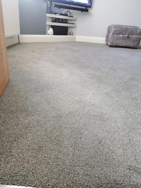 Lovely Bubbly Carpet Cleaning and Maintenance