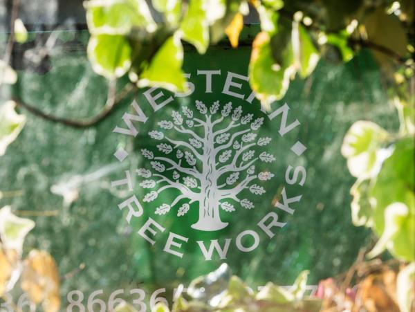 Western Treeworks