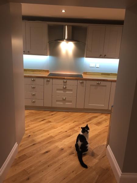 Worktop Steve
