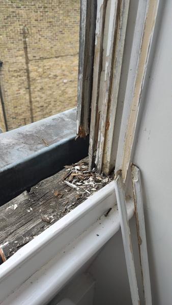 London Sash Window Repairs Ltd