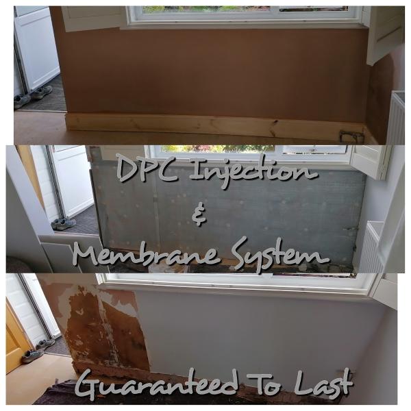 Alexander Plastering and Damp Proofing