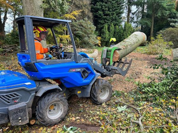 Claymore Tree Surgery