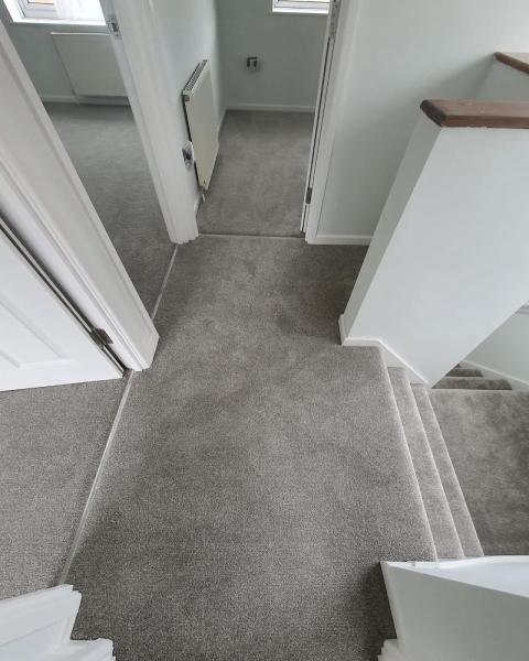 Bristol Flooring