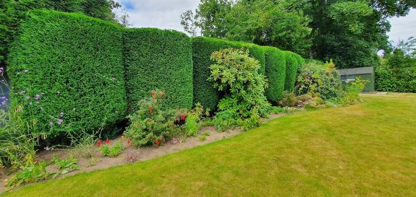 NGS Tree & Hedge Care