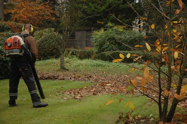 Down 2 Earth Garden Services & Maintenance