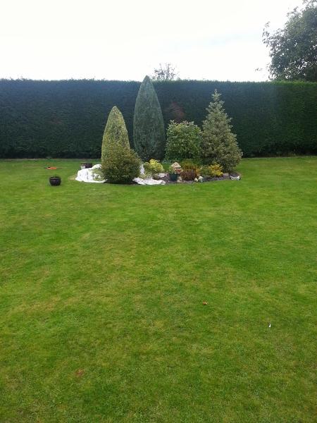 Brewood Tree Services