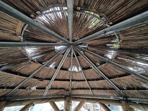 Brandon Thatchers Film Services Ltd