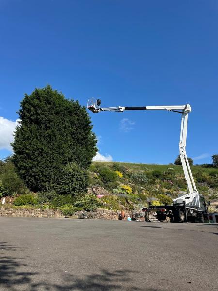 Reach Access Platforms Ltd (Cherry Picker)