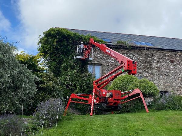 Skywalkers Diligent Tree Services