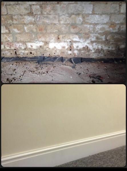 Damp King Remedial Services