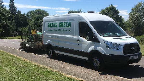 Buxus Green Grounds Maintenance