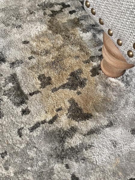 Ultimate Carpet & Sofa Care