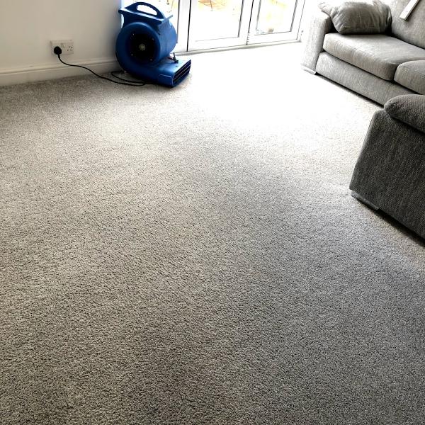 JK Carpet Cleaning