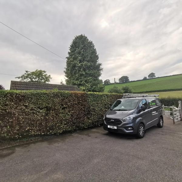 A. Jones Garden Maintenance