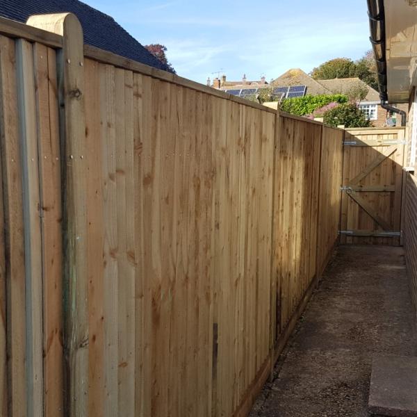 APS Tree Surgery and Fencing