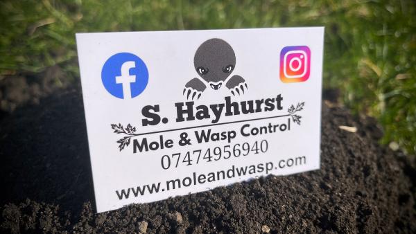 S. Hayhurst Mole Catcher & Wasp Control