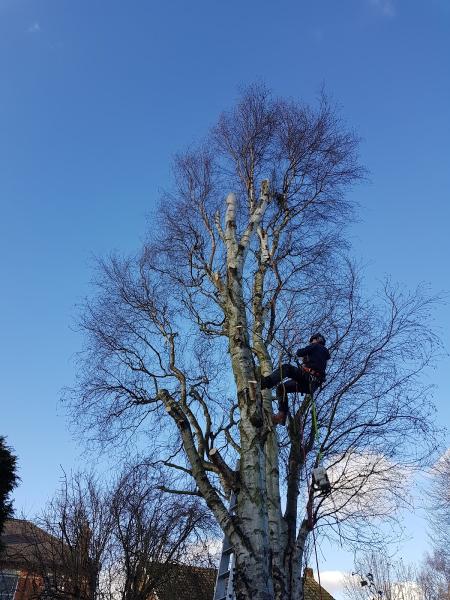 Gogartys Gardening Services