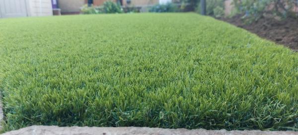 Cutting Edge Artificial Grass