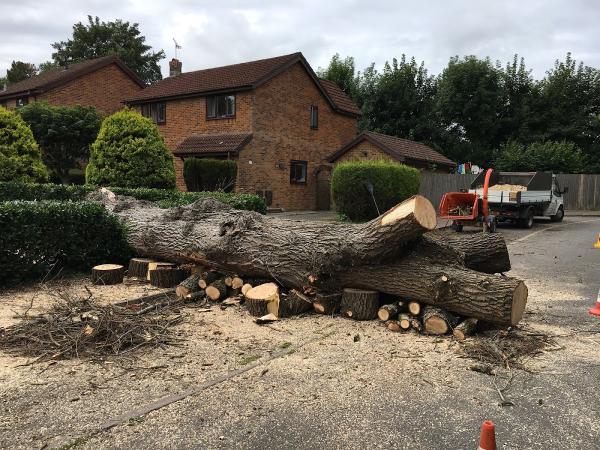 Arbcymru Tree Services