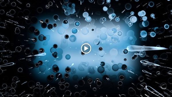 A Local Window Cleaner