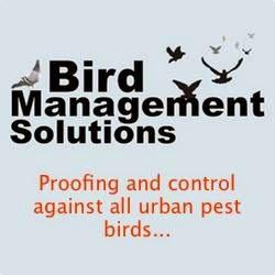 Bird Management Solutions