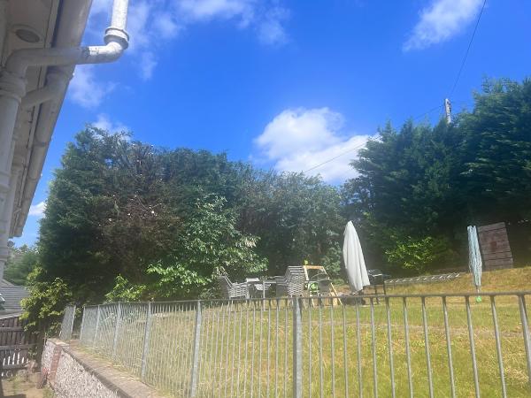 Clarkston Tree Surgeon