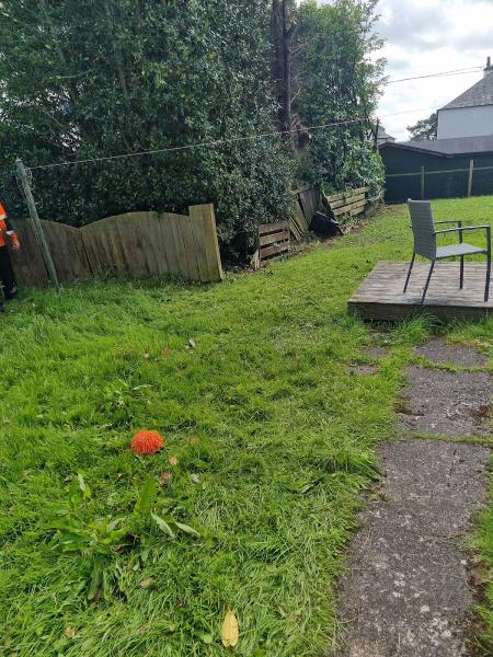 Clarkston Tree Surgeon