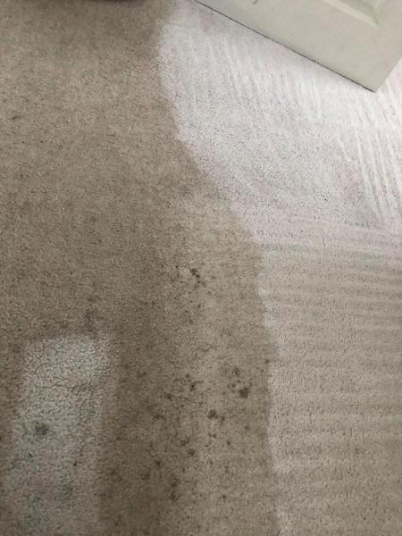 Diamond Carpet Cleaning Blackpool