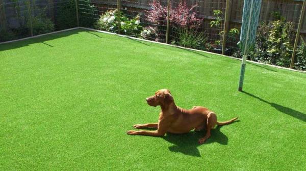 Artificial Grass North East