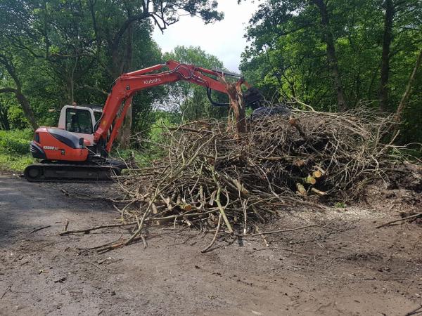 A. Binns & CO Tree Contractors