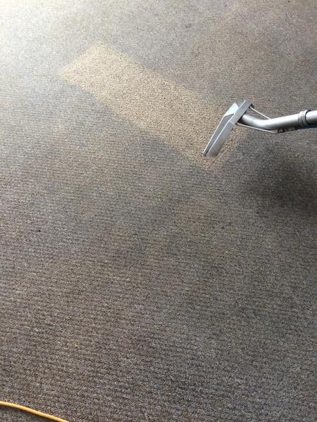 Newclean Carpet Cleaners Hull